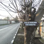 Poli