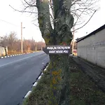 Poli Pensión Levski (Varna)
