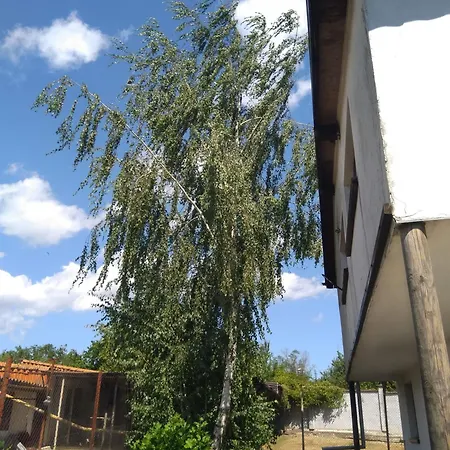 Poli * Levski (Varna)